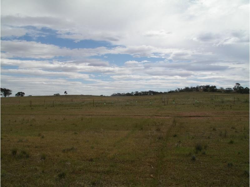 L1 Korong Vale Wychitella Road, Woolshed Flat VIC 3518