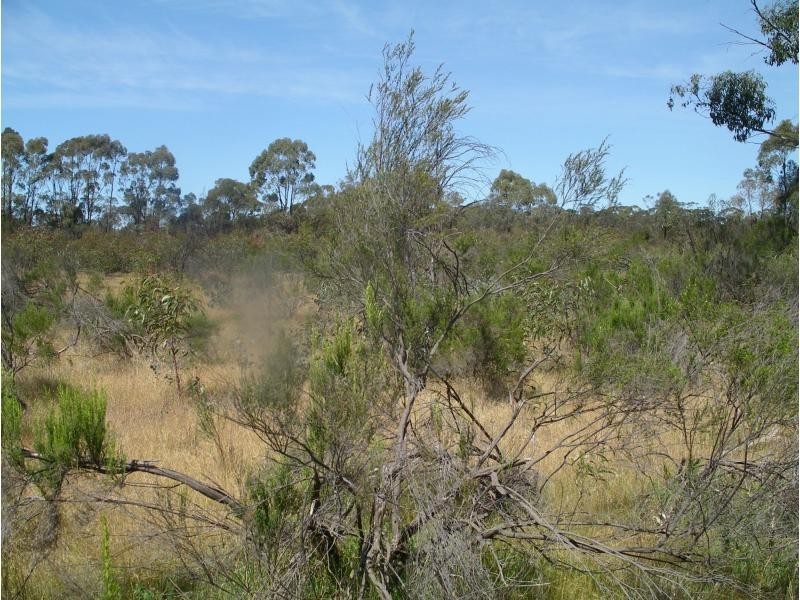 5 Blandfords Road, Neilborough VIC 3570