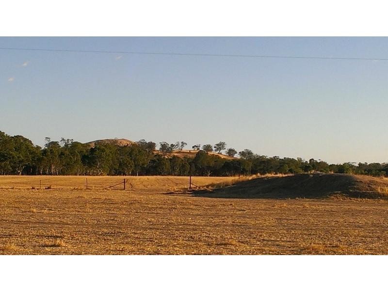 1850 Logan Fentons Creek Road, Fentons Creek VIC 3518