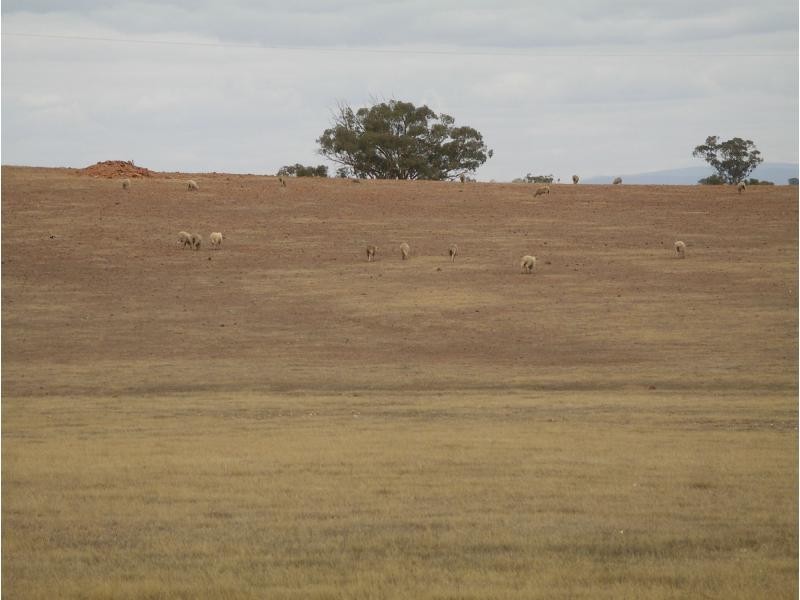 1 Finches Road, Fentons Creek VIC 3518