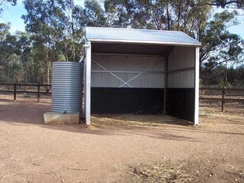 1451 Eaglehawk Neilborough Road, Neilborough VIC 3570