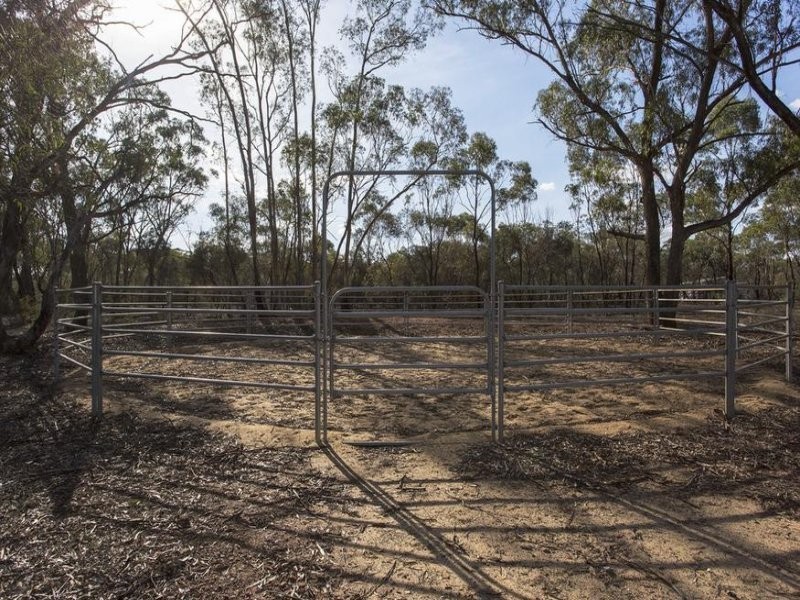 1451 Eaglehawk Neilborough Road, Neilborough VIC 3570