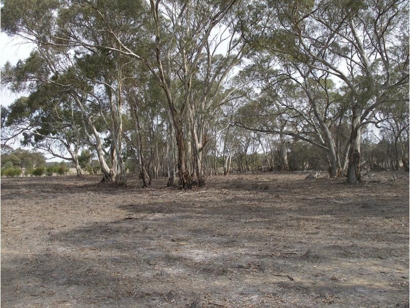 3518 Maxwells Road, Korong Vale VIC 3520