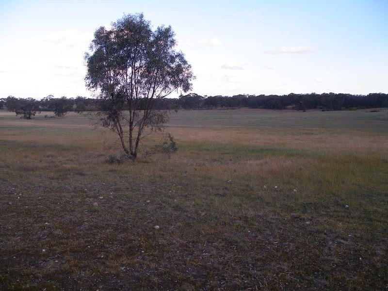3518 Maxwells Road, Korong Vale VIC 3520