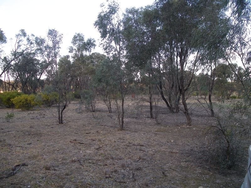 3518 Maxwells Road, Korong Vale VIC 3520