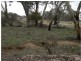 3518 Maxwells Road, Korong Vale VIC 3520