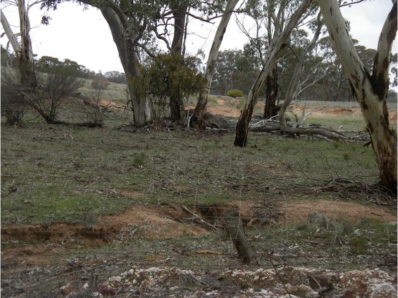 3518 Maxwells Road, Korong Vale VIC 3520