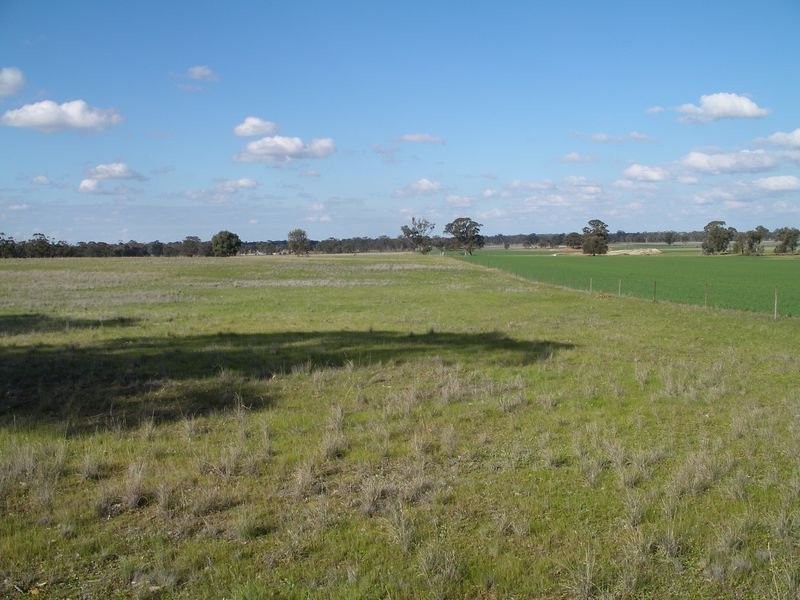 CA71 Eucy Road, Korong Vale VIC 3520