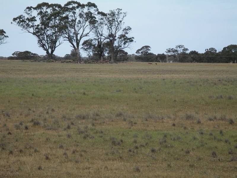 1 Korong Vale Wychitella Road, Woolshed Flat VIC 3518