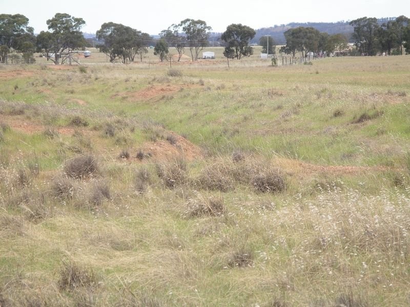 1 Korong Vale Wychitella Road, Woolshed Flat VIC 3518