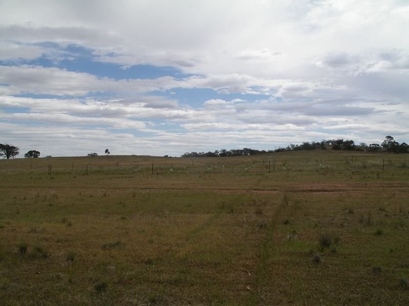 1 Korong Vale Wychitella Road, Woolshed Flat VIC 3518