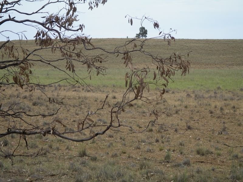 1 Korong Vale Wychitella Road, Woolshed Flat VIC 3518