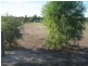 Lot 10, 31 Main Street, Koondrook VIC 3580