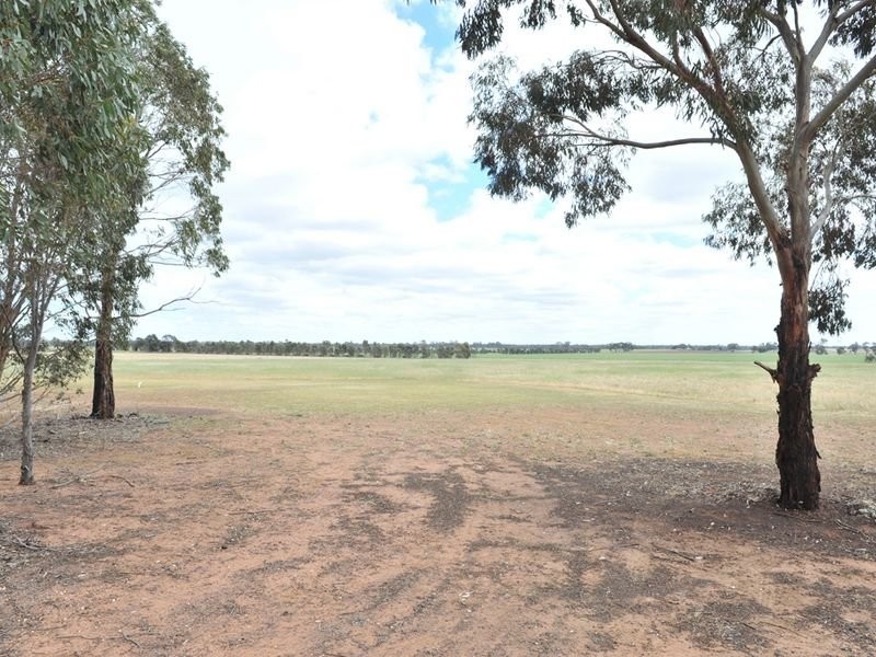117 McQualters Road, Raywood VIC 3570