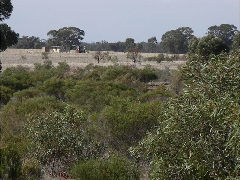 1 Finches Road/Corner Burkes Flat Road, Fentons Creek VIC 3518