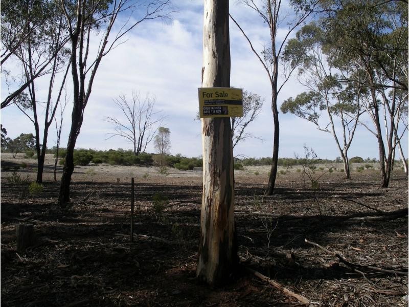 1 Finches Road/Corner Burkes Flat Road, Fentons Creek VIC 3518