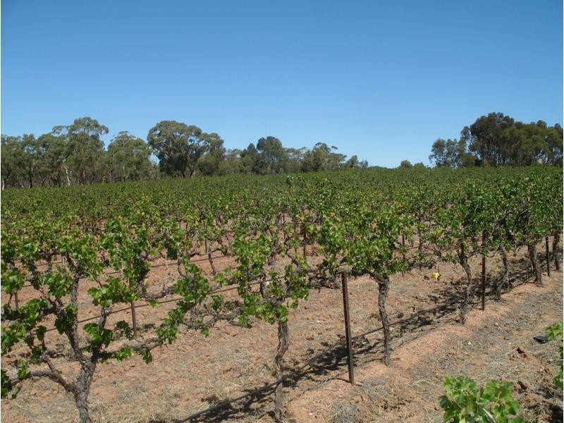 589 Calder Highway, Wedderburn VIC 3518