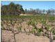 589 Calder Highway, Wedderburn VIC 3518