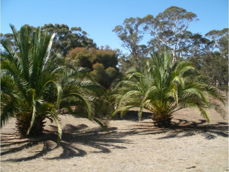 589 Calder Highway, Wedderburn VIC 3518