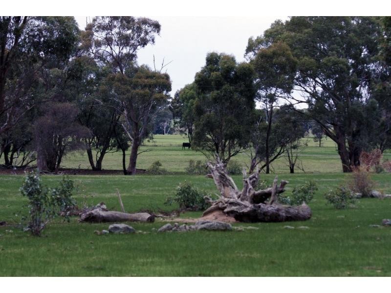 1 Allans & Arnold West Road, Arnold VIC 3551