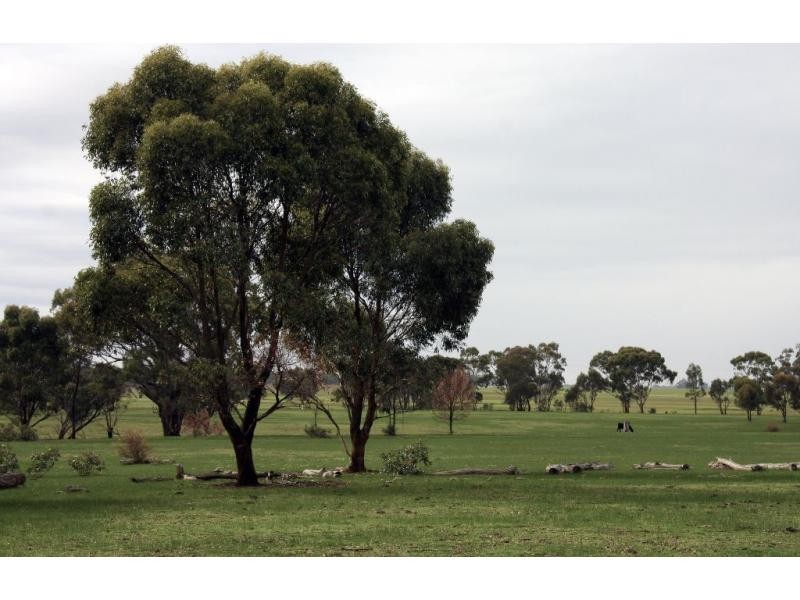 1 Allans & Arnold West Road, Arnold VIC 3551