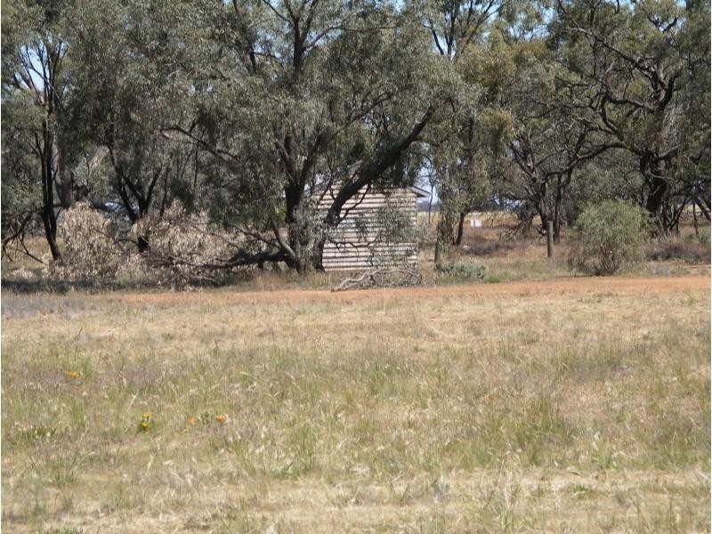 65 Webster Street, Wycheproof VIC 3527