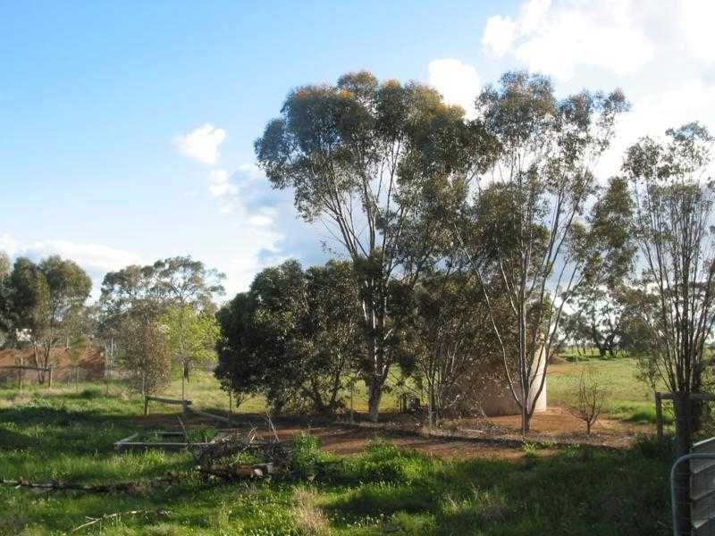 65 Webster Street, Wycheproof VIC 3527