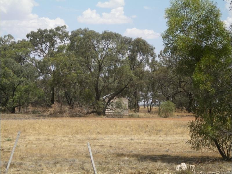 65 Webster Street, Wycheproof VIC 3527