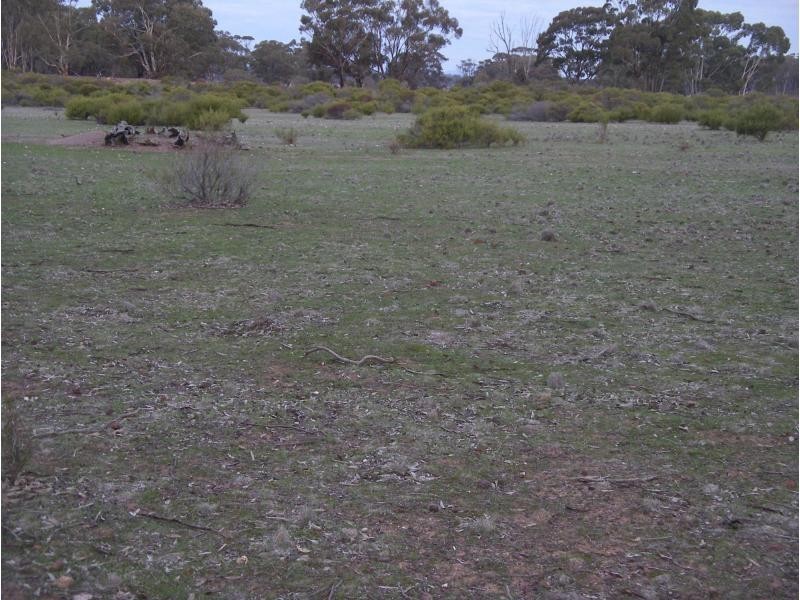 650 Inglewood Tarnagulla Road, Inglewood VIC 3517