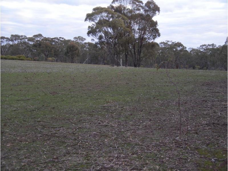 650 Inglewood Tarnagulla Road, Inglewood VIC 3517