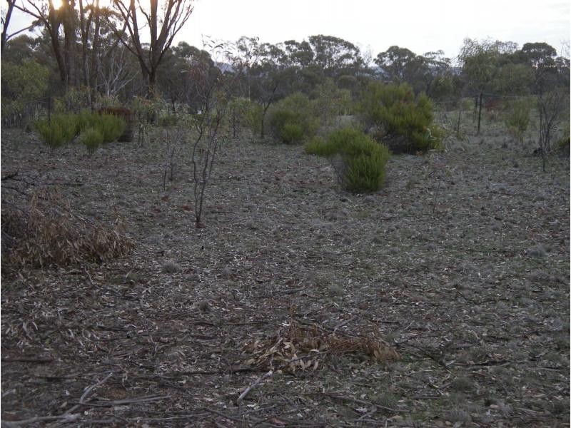 650 Inglewood Tarnagulla Road, Inglewood VIC 3517