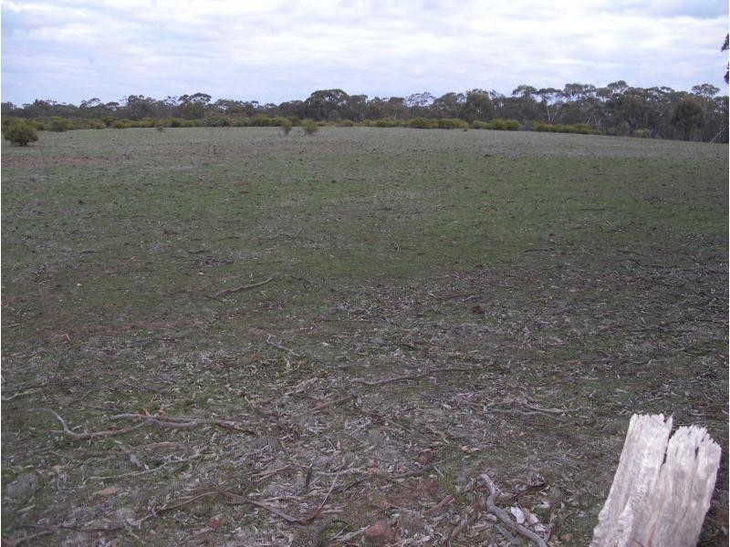 650 Inglewood Tarnagulla Road, Inglewood VIC 3517