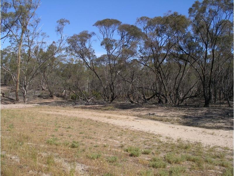 2500 Sunday Morning Hills Track, Glenalbyn VIC 3517