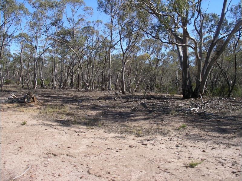2500 Sunday Morning Hills Track, Glenalbyn VIC 3517