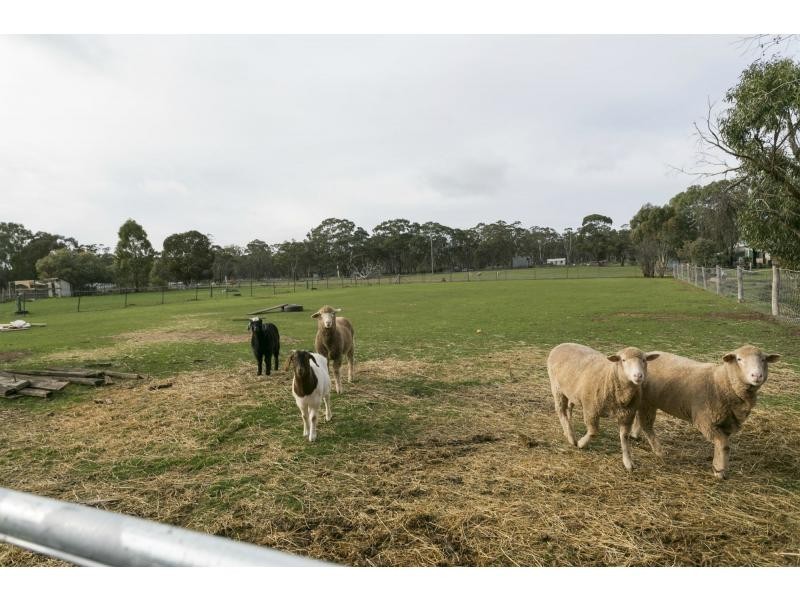 33 Charlton Road, Wedderburn VIC 3518