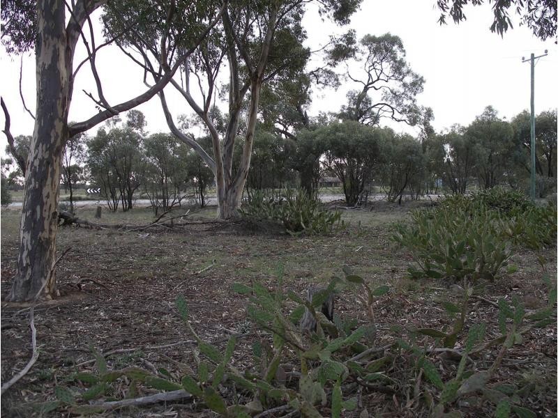 L1 Echuca Serpentine Road, Calivil VIC 3573