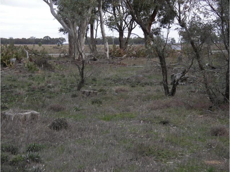 L1 Echuca Serpentine Road, Calivil VIC 3573