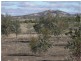 L1 and 2 Fiery Flat/Wedderburn Junction, Glenalbyn VIC 3517