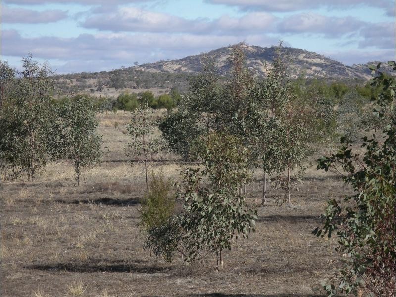 L1 and 2 Fiery Flat/Wedderburn Junction, Glenalbyn VIC 3517