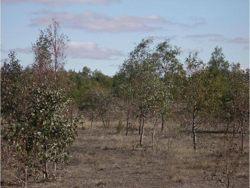 L1 and 2 Fiery Flat/Wedderburn Junction, Glenalbyn VIC 3517