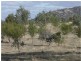 L1 and 2 Fiery Flat/Wedderburn Junction, Glenalbyn VIC 3517