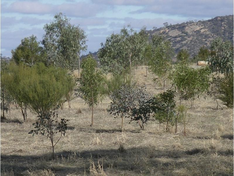 L1 and 2 Fiery Flat/Wedderburn Junction, Glenalbyn VIC 3517