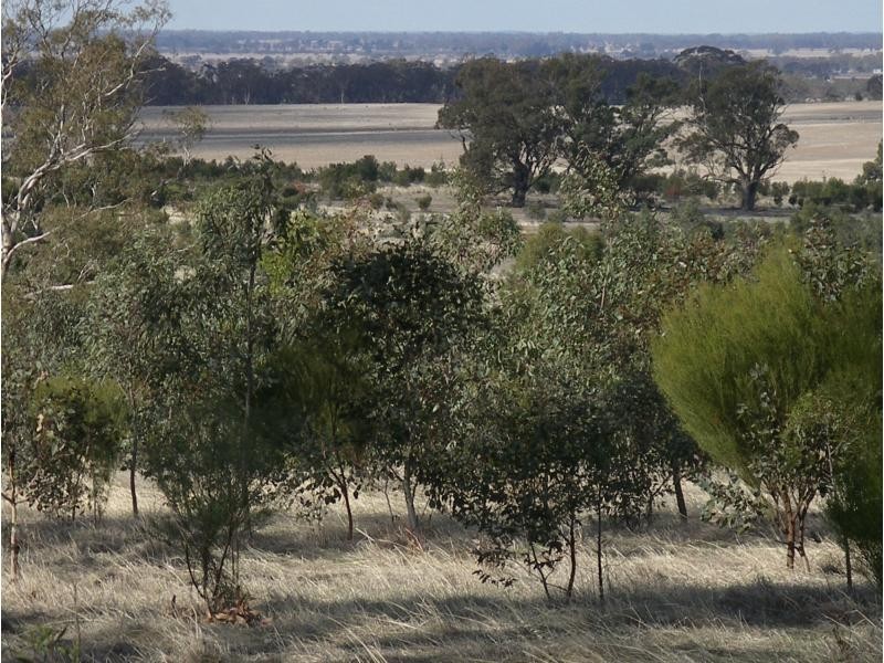 L1 and 2 Fiery Flat/Wedderburn Junction, Glenalbyn VIC 3517