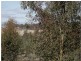 L1 and 2 Fiery Flat/Wedderburn Junction, Glenalbyn VIC 3517