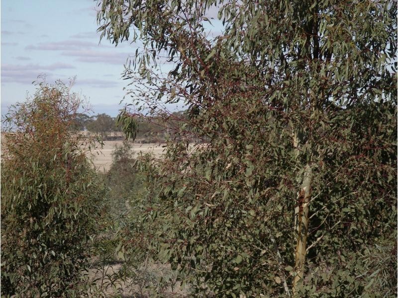 L1 and 2 Fiery Flat/Wedderburn Junction, Glenalbyn VIC 3517