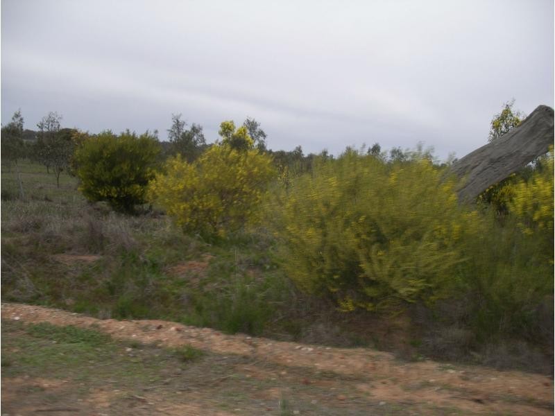 L1 and 2 Fiery Flat/Wedderburn Junction, Glenalbyn VIC 3517