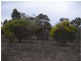 L1 and 2 Fiery Flat/Wedderburn Junction, Glenalbyn VIC 3517