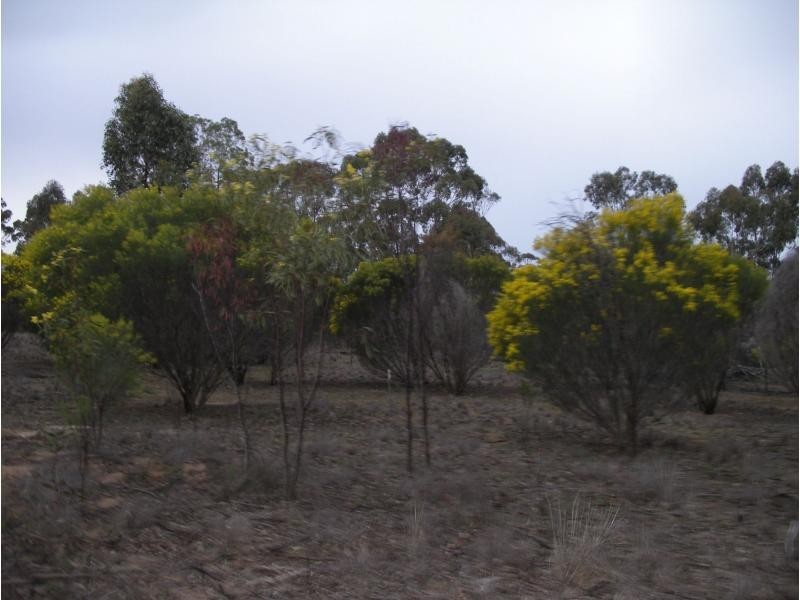 L1 and 2 Fiery Flat/Wedderburn Junction, Glenalbyn VIC 3517