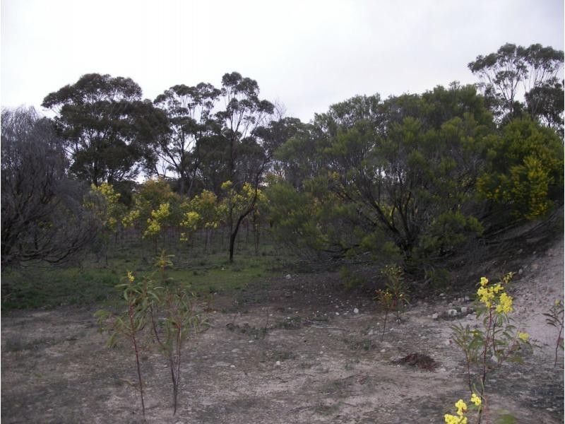 L1 and 2 Fiery Flat/Wedderburn Junction, Glenalbyn VIC 3517