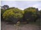 L1 and 2 Fiery Flat/Wedderburn Junction, Glenalbyn VIC 3517